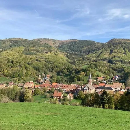 Le nid des mésanges, vallée de Villé Steige