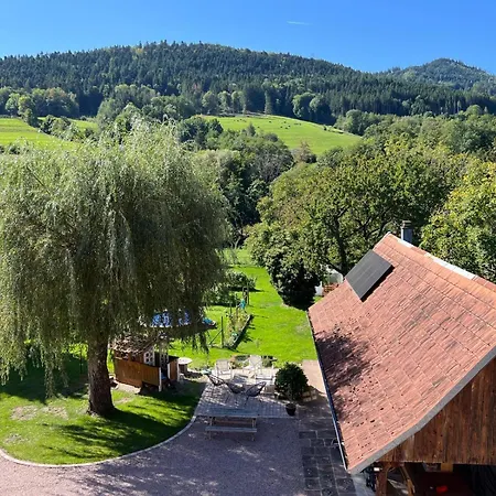 Appartement Le nid des mésanges, vallée de Villé Steige